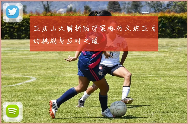 亚历山大解析防守策略对文班亚马的挑战与应对之道